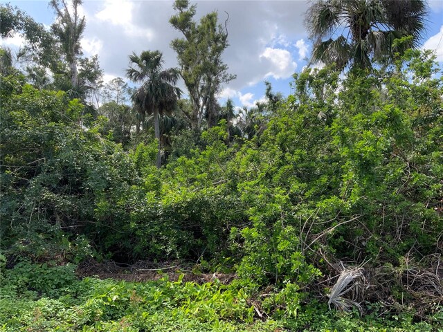 2271 Westwood Rd, North Fort Myers, FL 33917 - photo 6