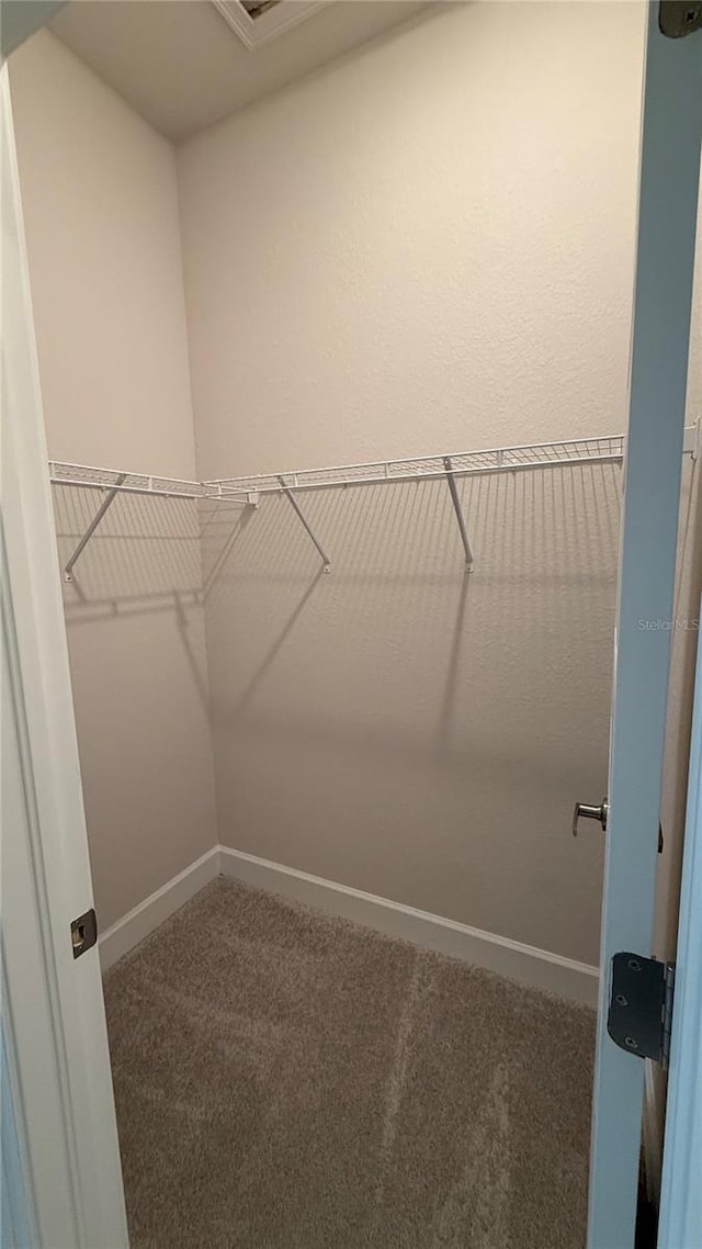 spacious closet with carpet flooring