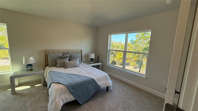 bedroom with carpet flooring, baseboards, and multiple windows