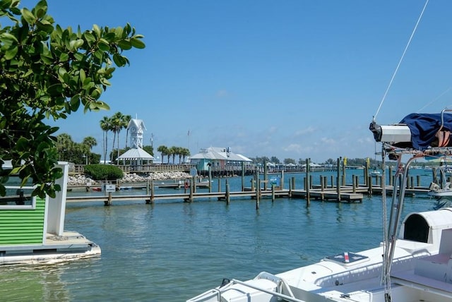 dock area with a water view