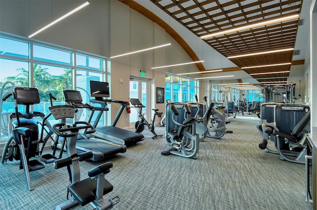 gym featuring french doors, a towering ceiling, a wealth of natural light, and carpet flooring