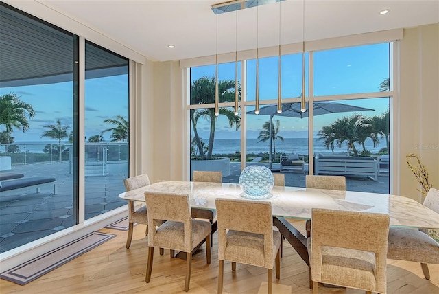 dining space featuring a wall of windows and light wood-type flooring