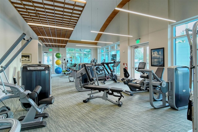 exercise room featuring carpet floors, a high ceiling, and french doors