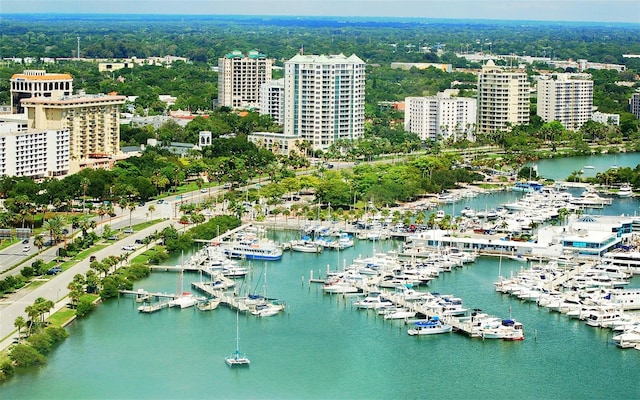 bird's eye view with a water view