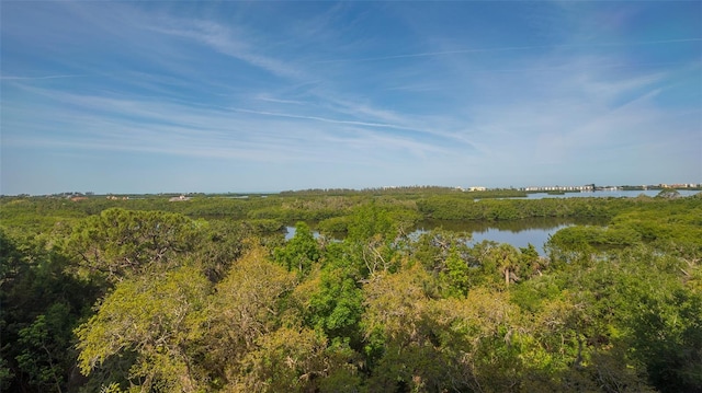 view of mother earth's splendor with a water view