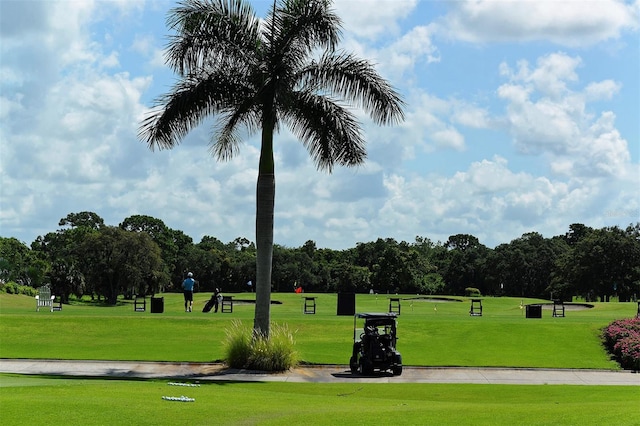 view of property's community featuring a lawn