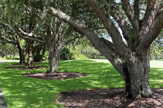 view of property's community featuring a lawn