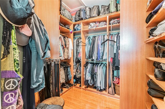 spacious closet with light hardwood / wood-style flooring