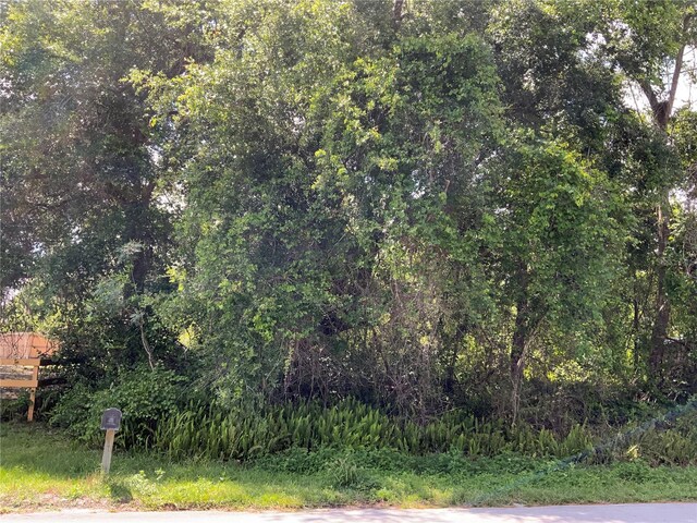 2nd Ave, Deland, FL 32724 - photo 5