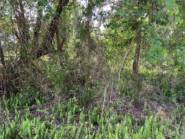 2nd Ave, Deland, FL 32724 - photo 6