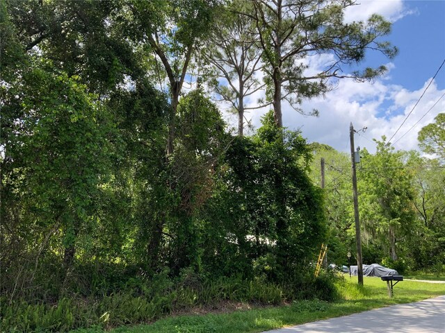 2nd Ave, Deland, FL 32724 - photo 7