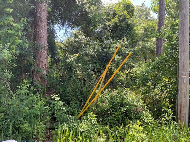 2nd Ave, Deland, FL 32724 - photo 8