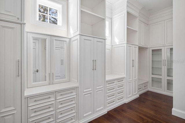 spacious closet featuring dark wood-type flooring