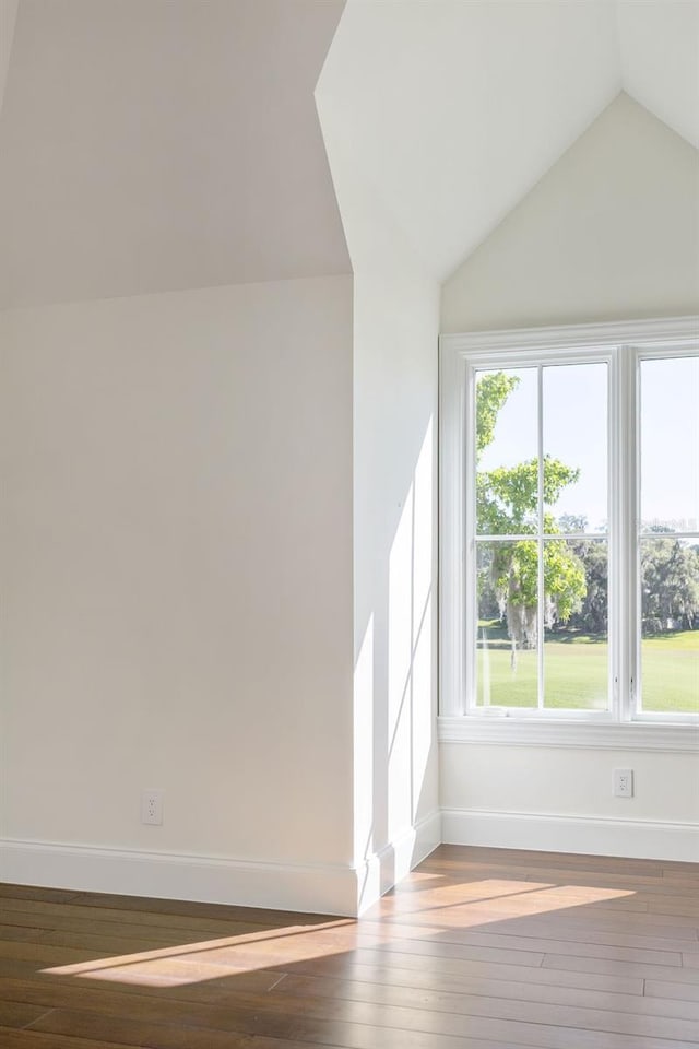 additional living space with hardwood / wood-style floors and lofted ceiling