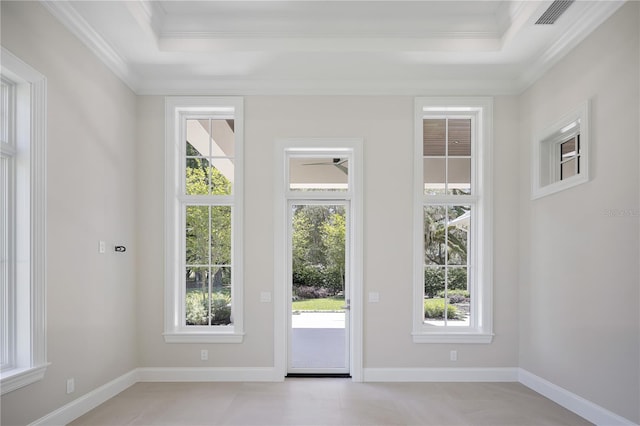 entryway with a healthy amount of sunlight and a raised ceiling