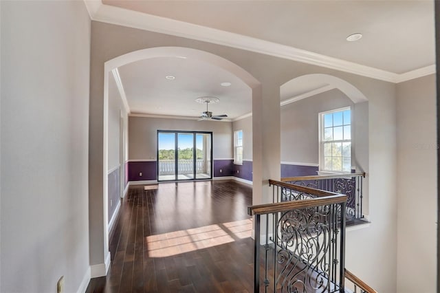 hallway with dark hardwood / wood-style floors and ornamental molding