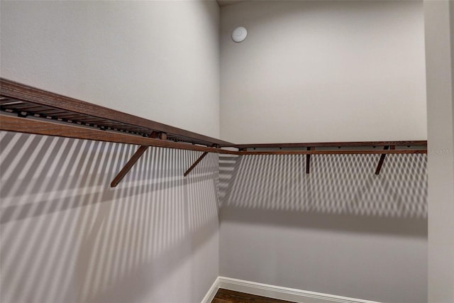 walk in closet with wood-type flooring