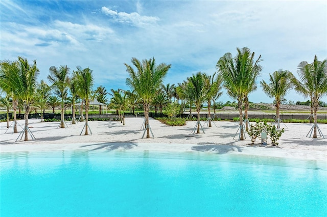 view of swimming pool featuring a view of the beach