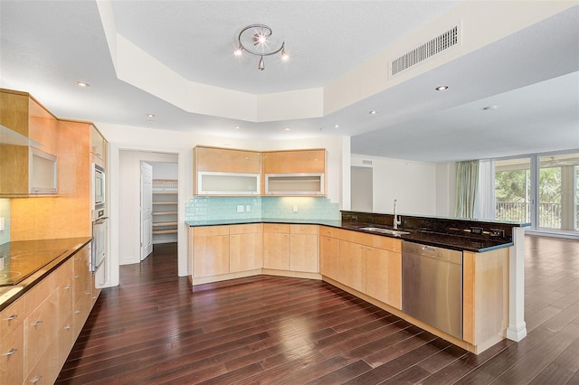 kitchen featuring dark hardwood / wood-style flooring, light brown cabinetry, appliances with stainless steel finishes, and sink