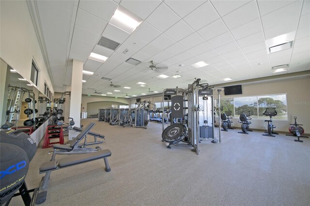 workout area featuring light carpet, ceiling fan, and a paneled ceiling