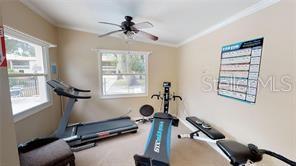 exercise room featuring ornamental molding, ceiling fan, and a wealth of natural light