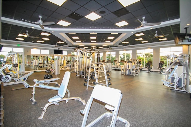 gym featuring a paneled ceiling and ceiling fan