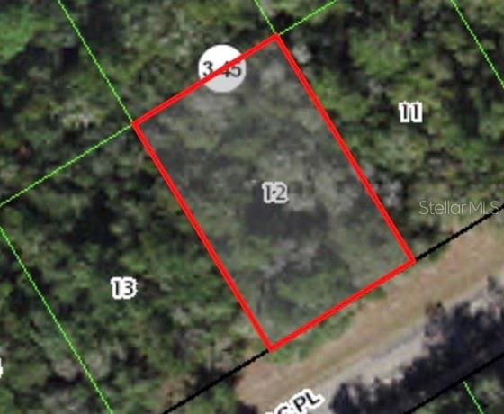 379 W Mac Pl, Citrus Springs FL, 34434 land for sale