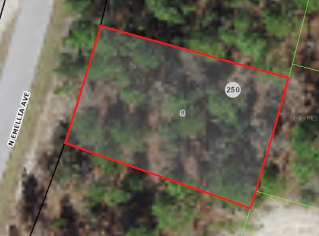 9819 N Emellia Ave, Citrus Springs FL, 34433 land for sale