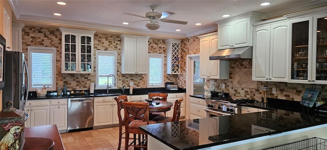 kitchen featuring ceiling fan, stainless steel appliances, tasteful backsplash, sink, and crown molding