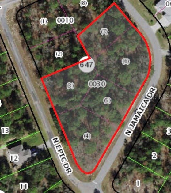 8021 N Epic Dr, Citrus Springs FL, 34433 land for sale