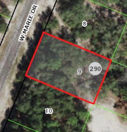 3050 W Marie Dr, Citrus Springs FL, 34433 land for sale