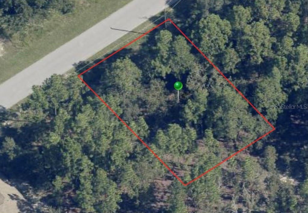 816 W Smallman Pl, Citrus Springs, FL 34434 - photo 2