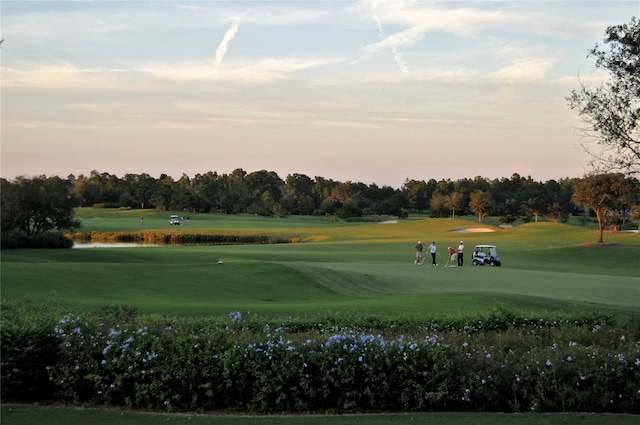 view of property's community featuring a lawn