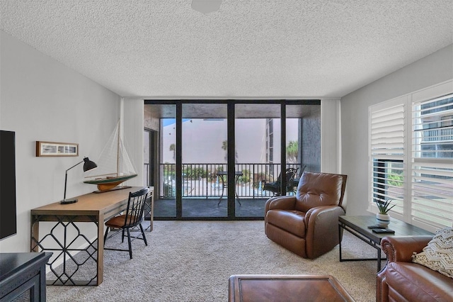 living room featuring carpet and a textured ceiling