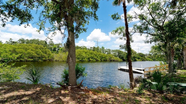 dock area with a water view