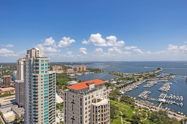 bird's eye view with a water view