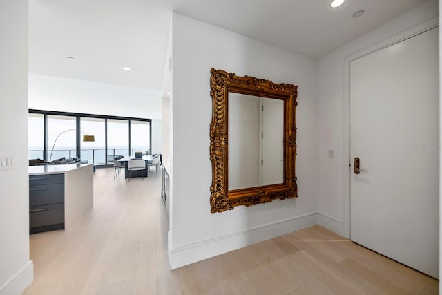 hall with expansive windows and light hardwood / wood-style flooring