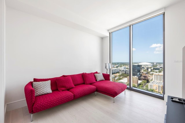 living room featuring floor to ceiling windows and light wood-type flooring