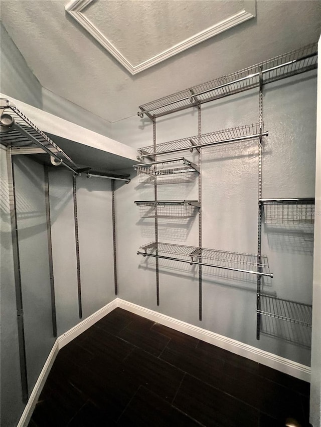 spacious closet with dark wood-type flooring