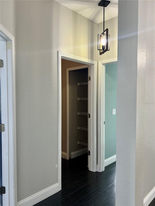 hall featuring dark wood-type flooring