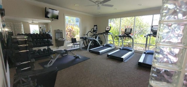 gym with crown molding, carpet, plenty of natural light, and ceiling fan