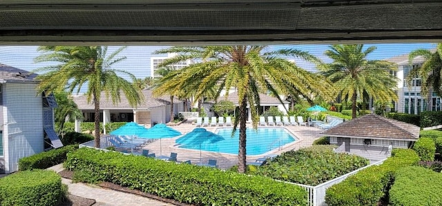 view of pool with a patio area