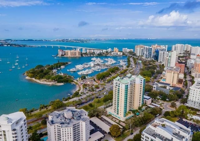 drone / aerial view with a water view