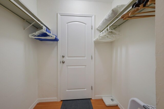 spacious closet featuring light wood-type flooring