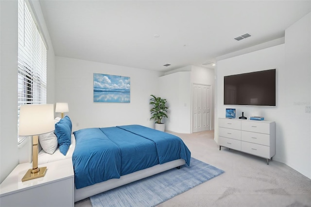 carpeted bedroom with a closet