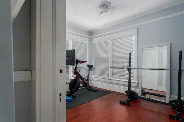 exercise room with wood-type flooring and ceiling fan