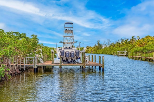 dock area with a water view