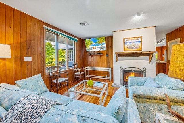 living room featuring wood walls and wood-type flooring