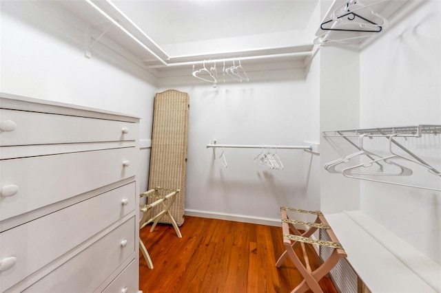 spacious closet with dark wood-type flooring