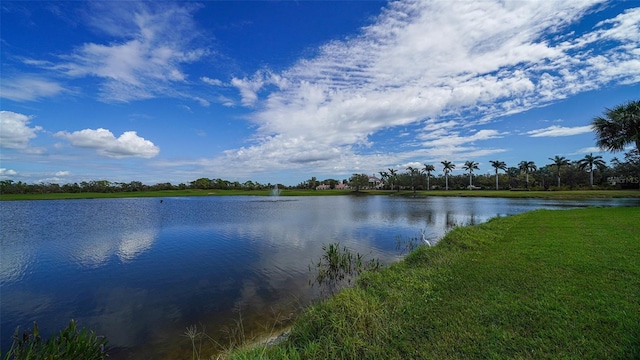 401 N Point Rd Unit 901, Osprey, FL 34229 - water view